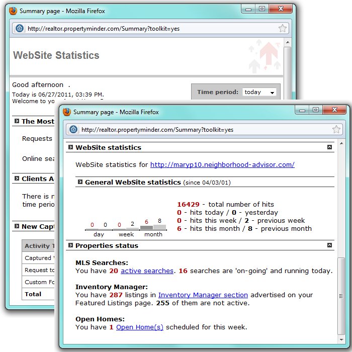 Website statistics.jpg