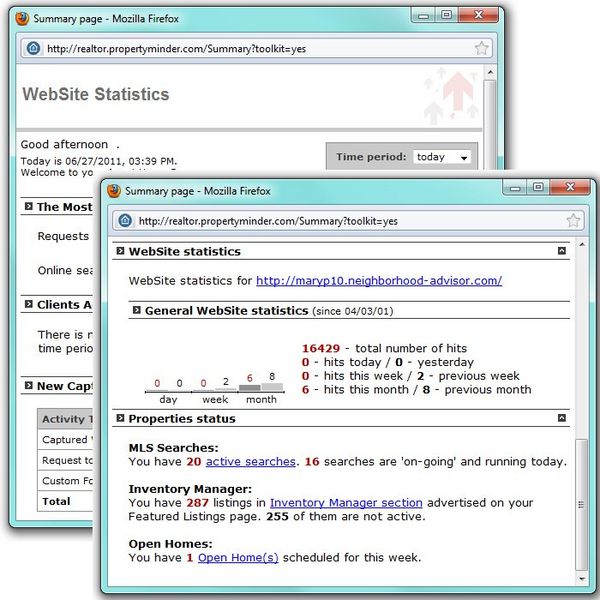 File:Website statistics.jpg